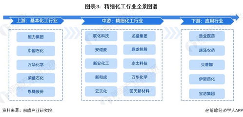 預見2024 中國精細化工產(chǎn)業(yè)全景圖譜、市場規(guī)模、競爭格局與發(fā)展前景