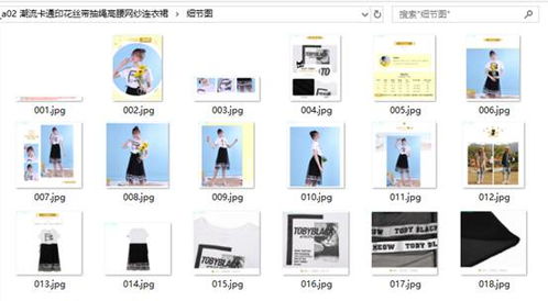 高效管理有貨商品圖片 分類下載與計算機軟硬件開發策略