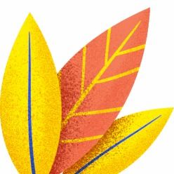 快看看你是否在用 這6批次紙制品類產品不合格